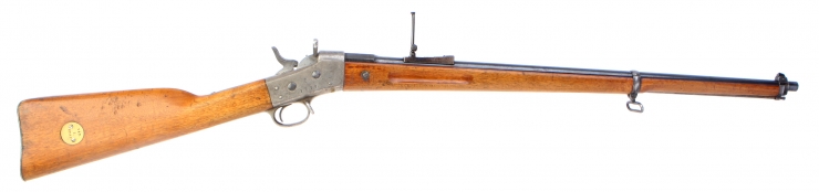 Deactivated Swedish Remington M/1867-1889-1893 Short rifle